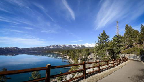 Peace Among the Pines - Foto 5