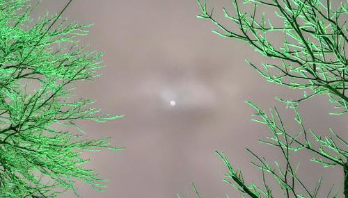 OG Apartman - Foto 5