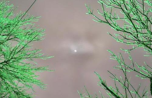 OG Apartman - Foto 5