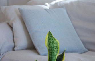 Perdika Sea Soul - Foto 11