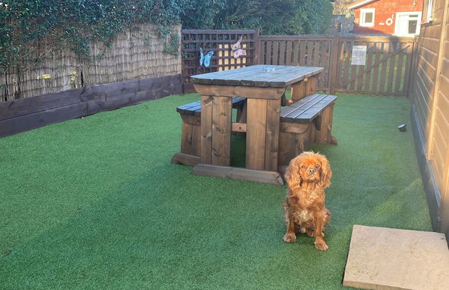 Large 3 bed Chalet -sleeps 6- dog Friendly- Garden - Foto 17