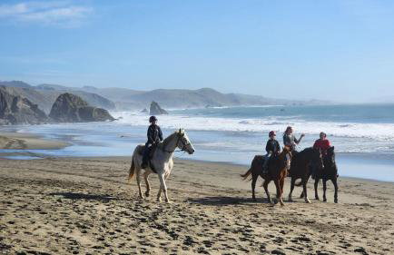 Bodega Bay Sonoma Coast Ocean Views 3 Bedroom Home - Foto 47