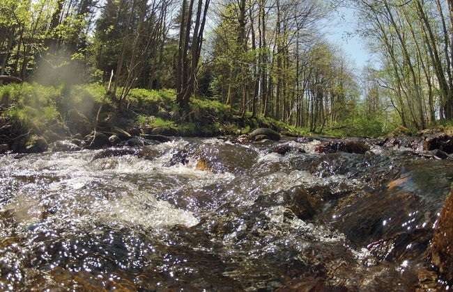 Doppelhaushaelfte in Hasselfelde - Foto 16