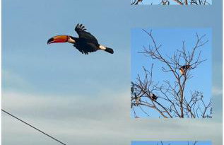 Serra da Capela - Foto 27