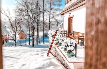 Góralska Chata - Foto 48