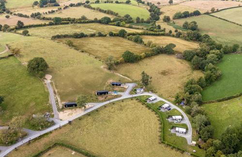 The Kingfisher - Foto 30