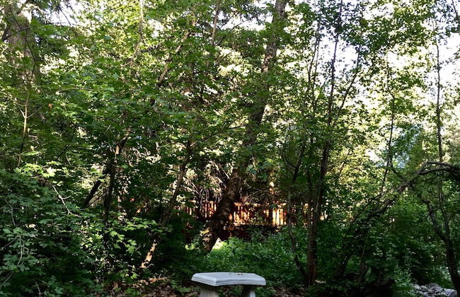 Treehouse by the Stream - Photo 15