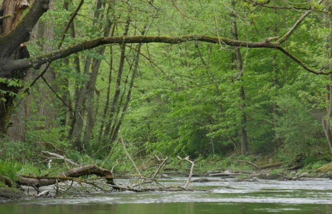 Furnished Bungalow With Peaceful Neighbourhood - Photo 33