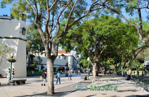 OurMadeira - BelleVeva - Foto 22