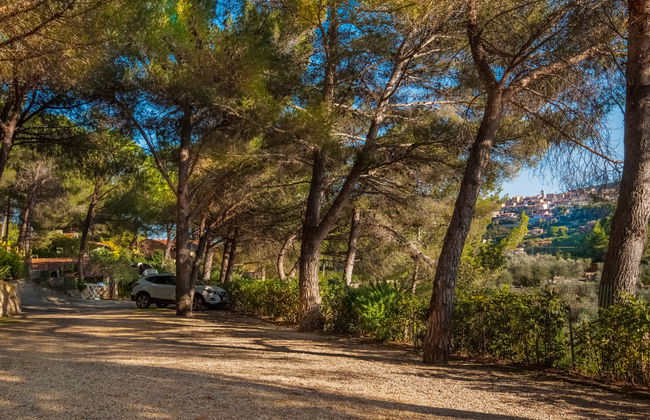 Piccola Oasi 8 - Foto 24