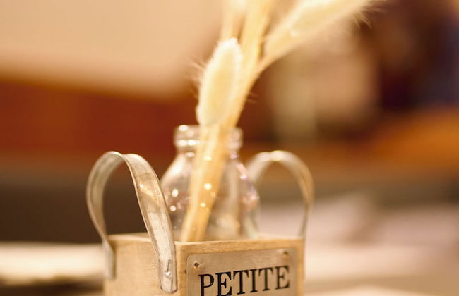 Ferienwohnungen - Appartements Pension Zollner - Foto 42