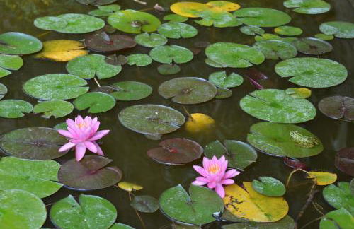 Villa Marquês - Foto 29