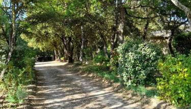 Villa le Bosquet en Luberon. - Foto 3, Garden