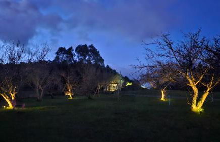 Apartamentos Castello - Foto 67