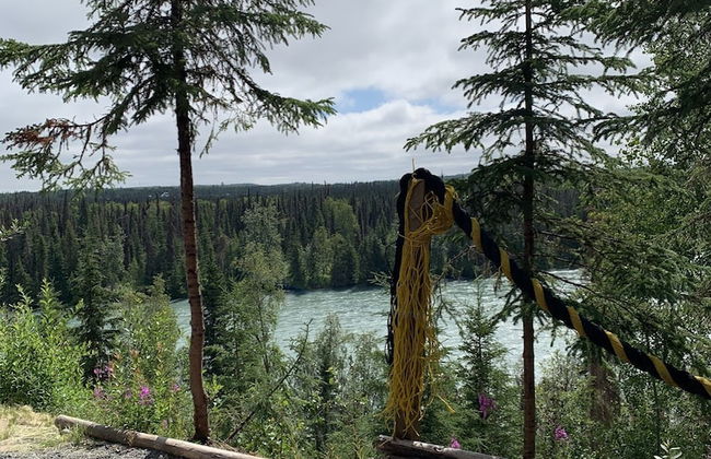 Joy's Kenai River Cabins - Foto 62