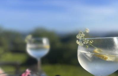 The Pink Cottage upstairs suite & Garden Summer Room - Foto 47