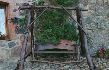 Mazurska Knieja - Foto 35