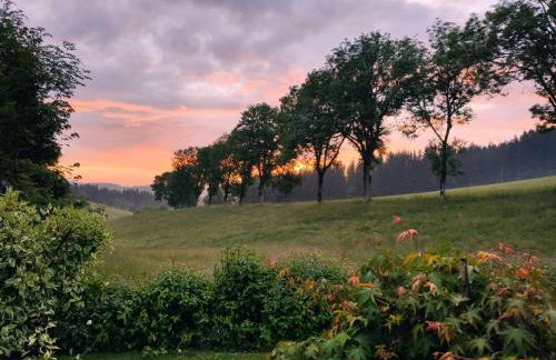 Biobetrieb Lippenhof - Foto 22