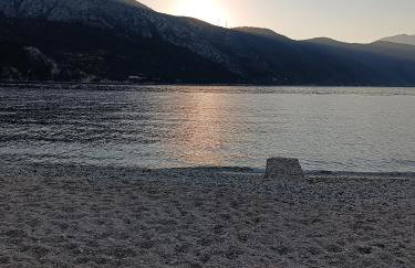 Xeni's House - Foto 32