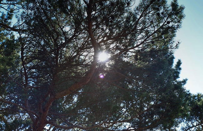 4 Person Holiday Home in Stromstad - Photo 4