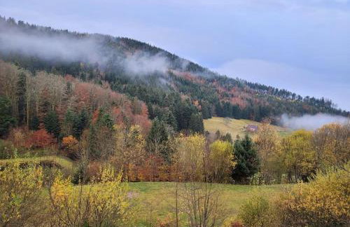 RELAX CHALET Nature Retreat - isolé sur 3 hectares - confort de LUXE - maison entière 150m2 - près de La Bresse - Foto 26