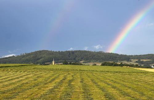 Apartament Pod Orzechem - Foto 5