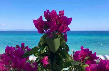 Paralia Homes cheerful 2 bedroom with pool, unit #1 - Foto 44