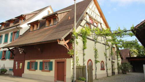 Bioweingut und Ferienwohnung Kaufmann - Photo 5