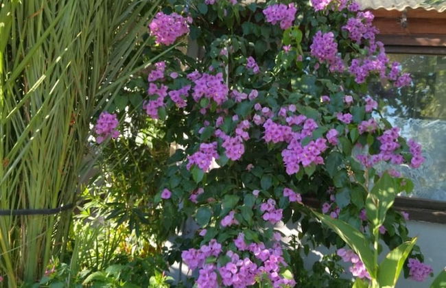 Vjeko - 200 m From sea - 2 - B1 - Foto 22