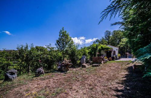 Casa sull'albero Bocchineri - Photo 26