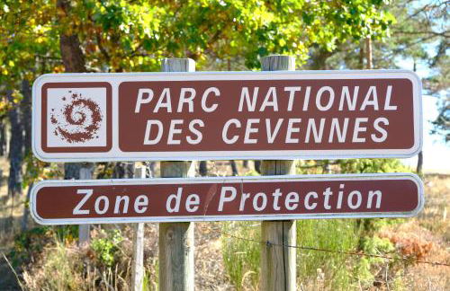 Mas Mialou - Foto 33