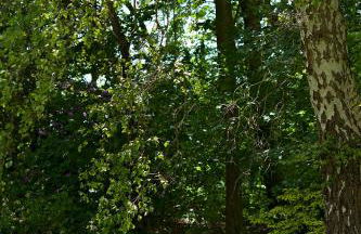 Erlebnishof Katthusen - Foto 2