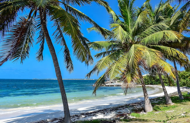 Lord Nelson Hotel & Residences - Foto 38