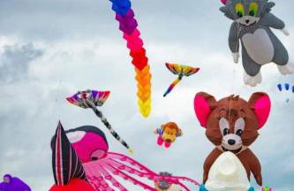 La Baie d'Authie - Foto 15