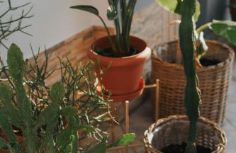 The Boho Blue - Foto 49