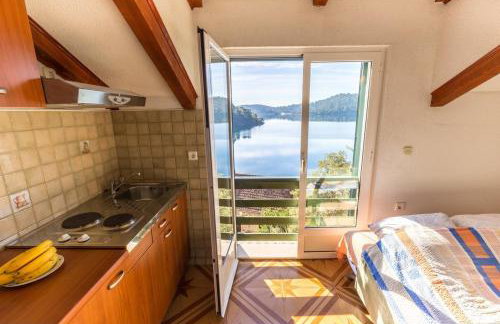 Pansion Mali Raj - Photo 38