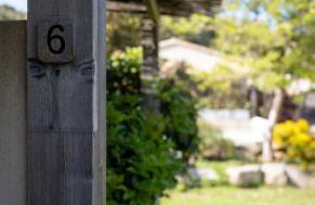 Songes d’été - Foto 5