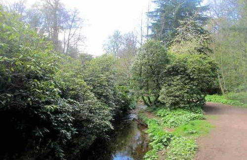 Station View Lodge - Near Balbirnie House Markinch - Foto 125