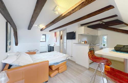 A L'ill - Apparts & Studios Strasbourg Hyper Centre - Foto 44