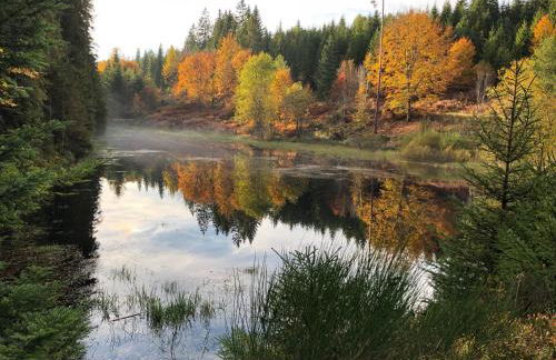 Ferienwohnung Kuckuck auf dem Sommerberg incl Schwarzwald Plus-Karte - 2 Zimmer 50qm - Foto 78