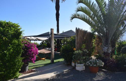 Casa La Masía - Foto 28