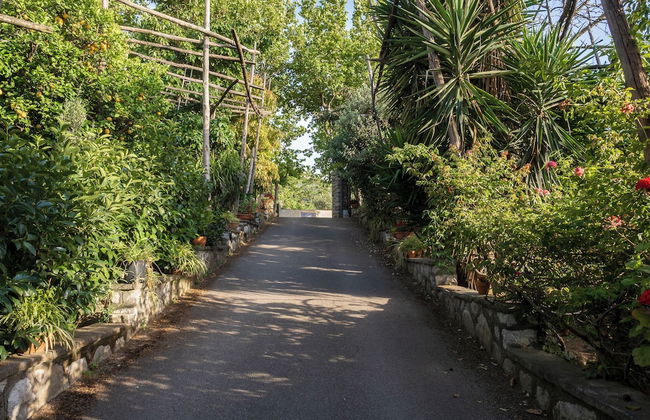 Giardino di Nonno Lucio - Foto 33