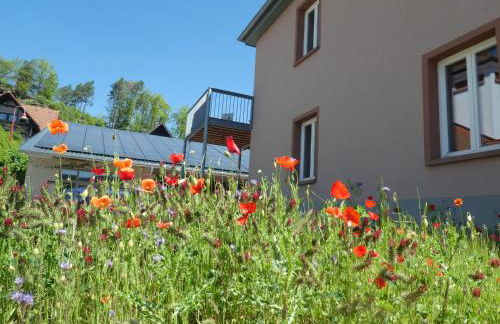 Apartments in Fischbach bei Dahn - Pfälzerwald 42914 - Foto 17