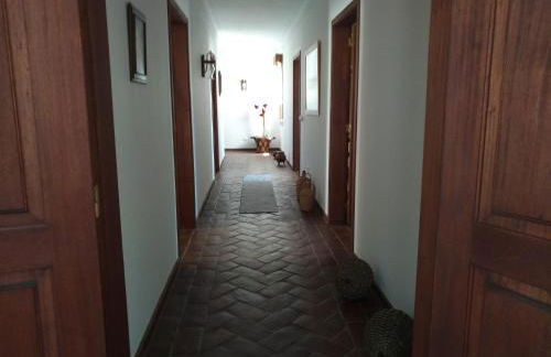 Aproveite o sabor do Alentejo - Foto 12