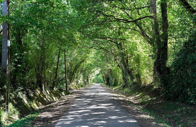 Apartment in Branville in a Nice Area - Foto 60