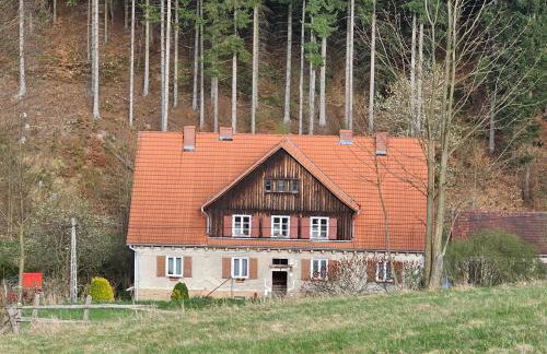 Graniczna 21 - w Górach Sowich - Foto 2