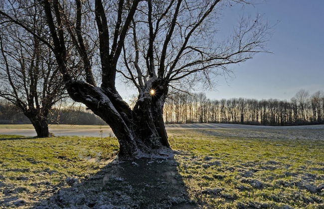 Ostsee Ferienhaus Welzin - Altes Schäferhaus - Foto 20