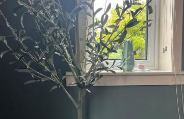 Luxury 4-Bedroom 2 Bathroom Private Vila - Foto 8