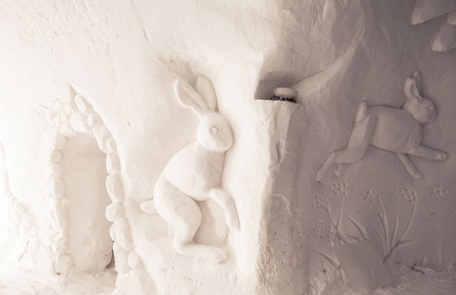 Torassieppi Eco Reindeer Resort - Photo 13