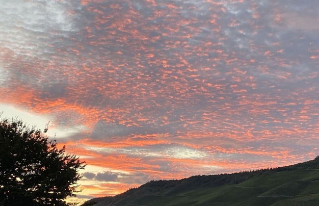 Uitzicht op de Wijngaard - Photo 8